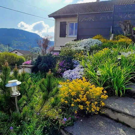 Plain-Pied Proche Base De Loisirs Et Voie Verte Saulxures-sur-Moselotte Exterior photo