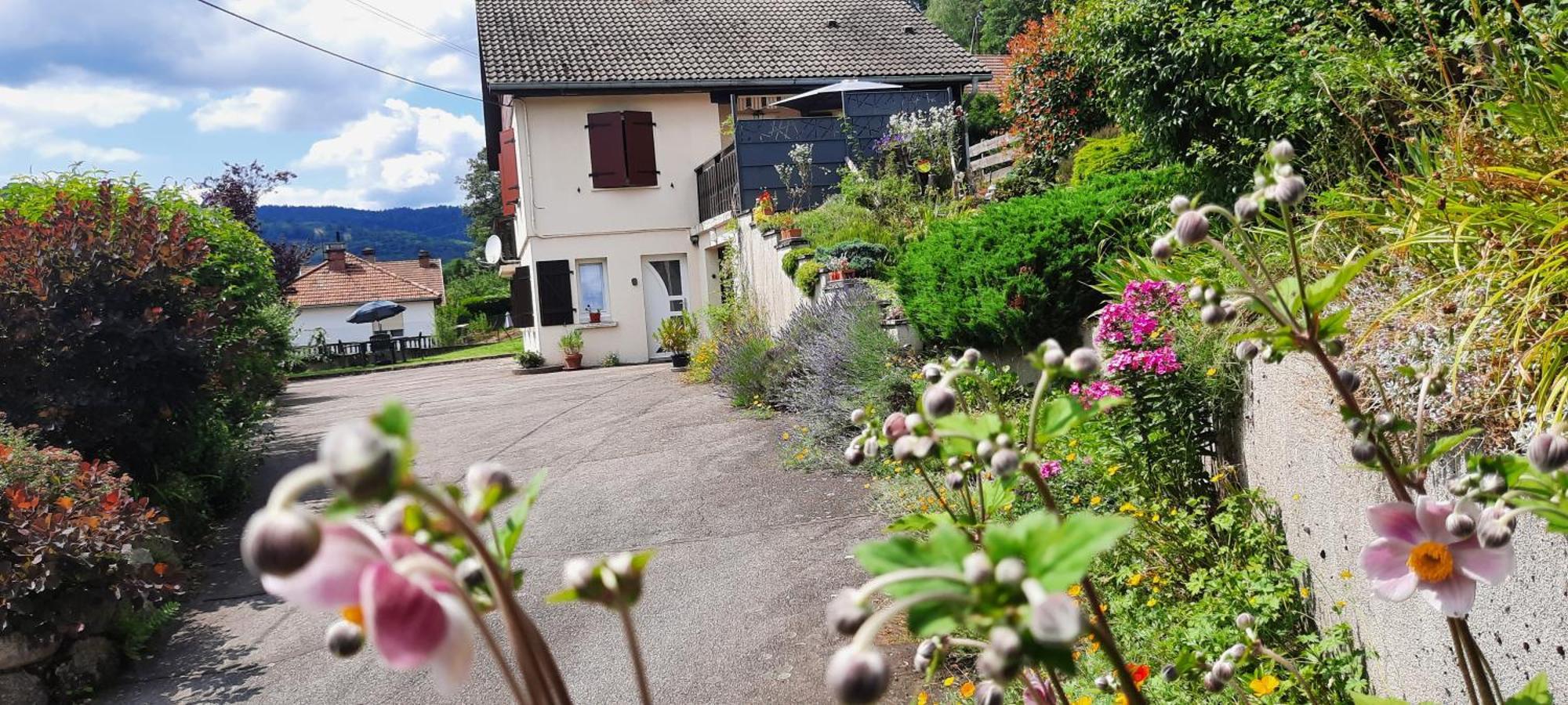 Plain-pied Proche Base De Loisirs Et Voie Verte Apartment Saulxures-sur-Moselotte